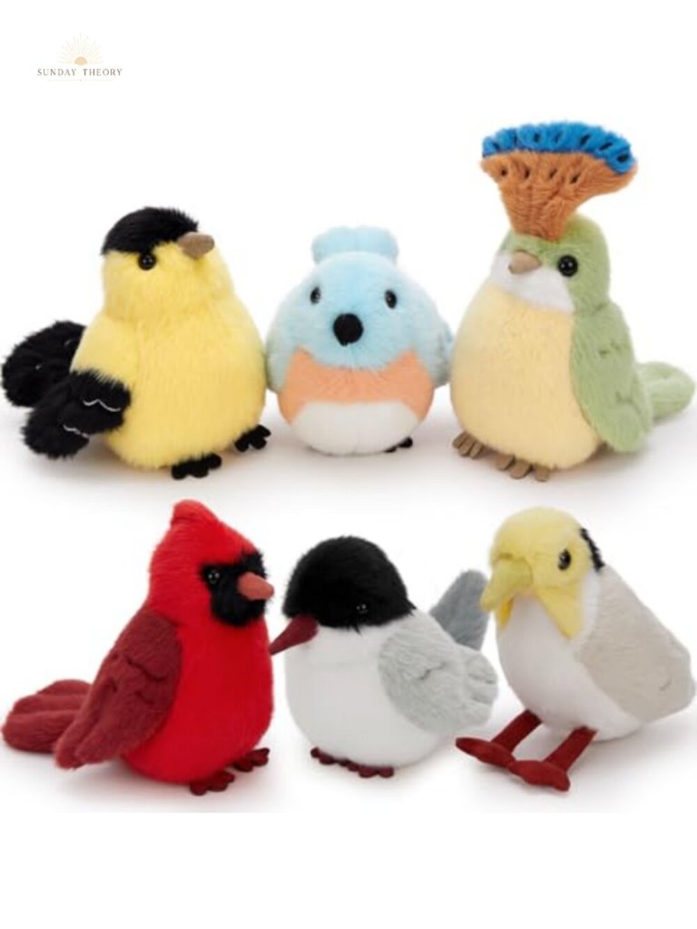 Educational Bird Plush Toy Set of 6, Soft Stuffed Animals for Kids, Cute
